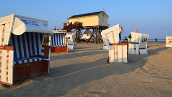 Das Bild zeigt Strandkörbe am Strand